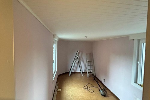 Renovatie kamer: isolatie/gyproc/OSB/laminaat/schilderen