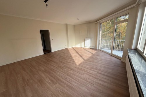 Linoleum / PVC / LVT