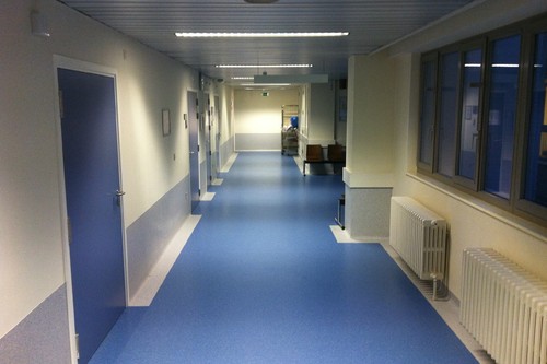 Linoleum / PVC / LVT